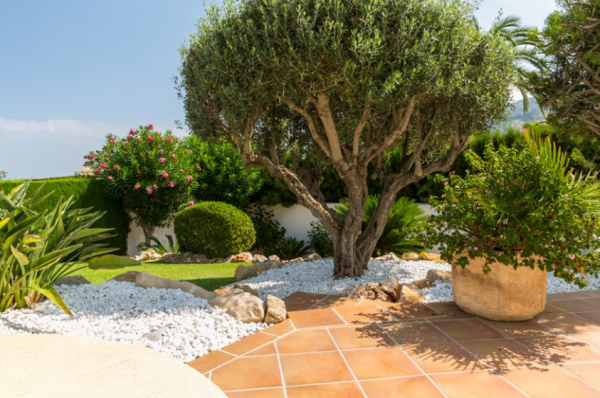 Taman dengan konsep mediterania yang memiliki pohon zaitun dan taman berbatu